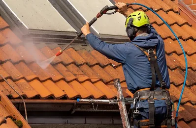 Démoussage et hydrofuge de toiture à Ghisoni